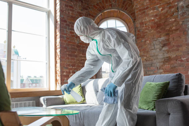 Best Mold Prevention Services in Rpinteria, CA