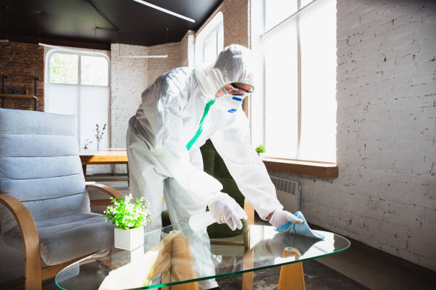 Best Asbestos and Lead Testing During Mold Inspection in Rpinteria, CA